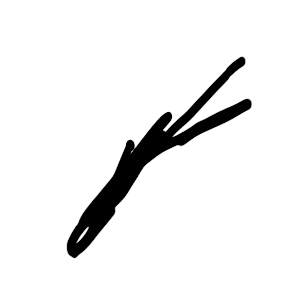 studio.twig